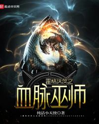 [哈利波特同人]霍格沃茨之血脉巫师